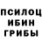 Псилоцибиновые грибы Psilocybe Jannats planet
