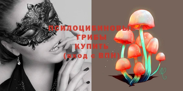 крисы Алексин