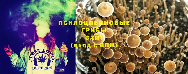 кокаин колумбия Алзамай