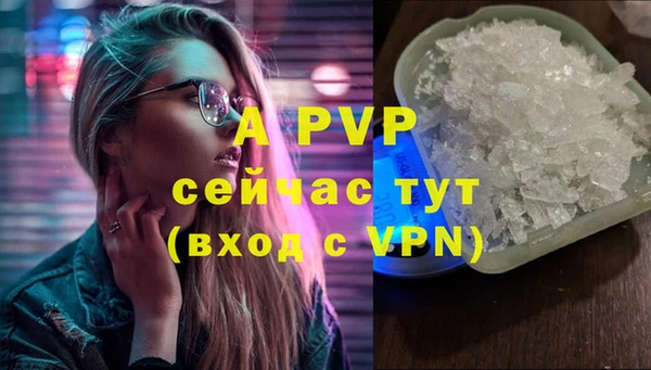 крисы Алексин