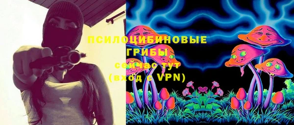 крисы Алексин