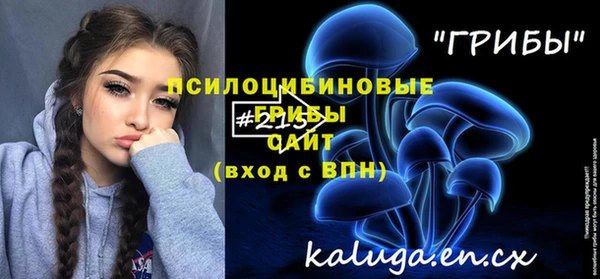 крисы Алексин