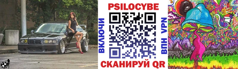 площадка Telegram  Нарткала  Псилоцибиновые грибы GOLDEN TEACHER 