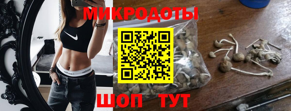 Псилоцибиновые грибы MAGIC MUSHROOMS  Вход с VPN  Нарткала 